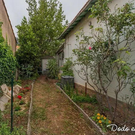 Green House With Garden - Dodo Et Tartine