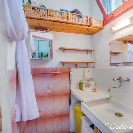 Green House With Garden - Dodo Et Tartine