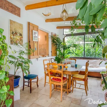 Green House With Garden - Dodo Et Tartine