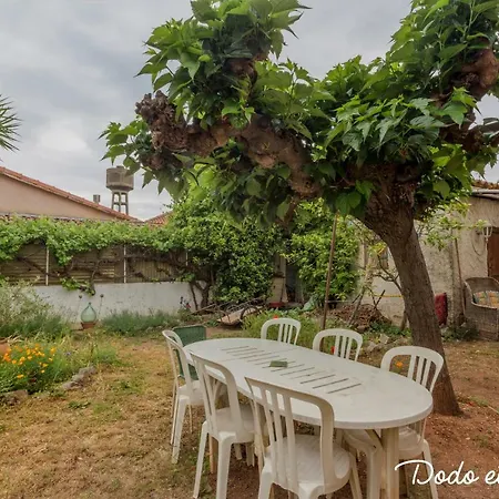 Green House With Garden - Dodo Et Tartine La Valette-du-Var