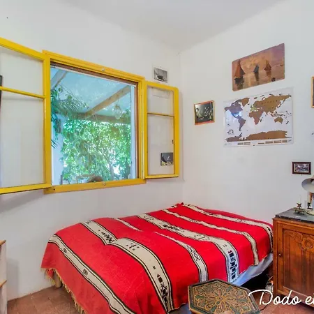 Green House With Garden - Dodo Et Tartine Holiday home